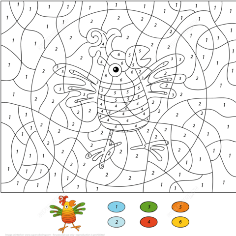 Parrot Color By Number Coloring Page